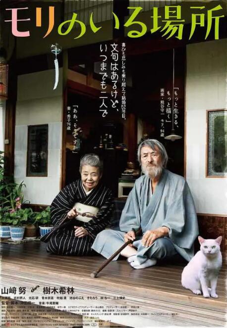 星野大战光头哥免费